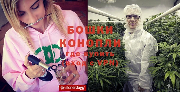 ГАЛЛЮЦИНОГЕННЫЕ ГРИБЫ Белоозёрский
