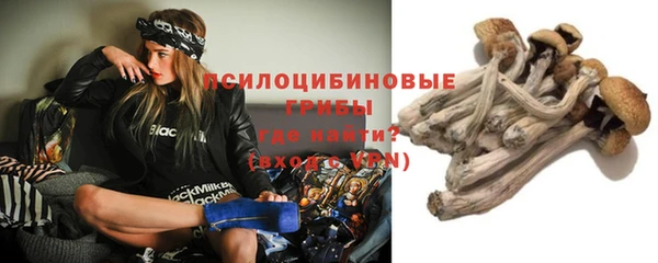 ГАЛЛЮЦИНОГЕННЫЕ ГРИБЫ Белоозёрский