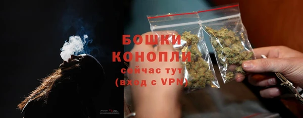 ГАЛЛЮЦИНОГЕННЫЕ ГРИБЫ Белоозёрский