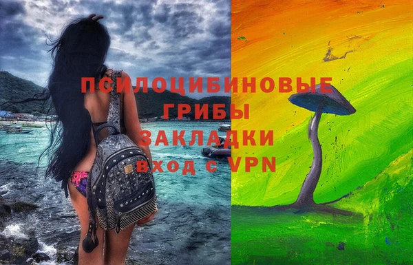 амфетамин Белокуриха