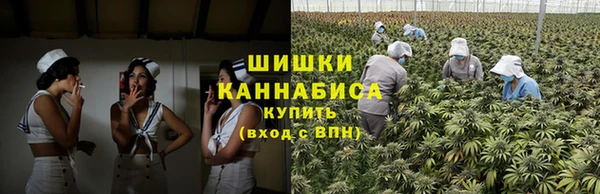 амфетамин Белокуриха